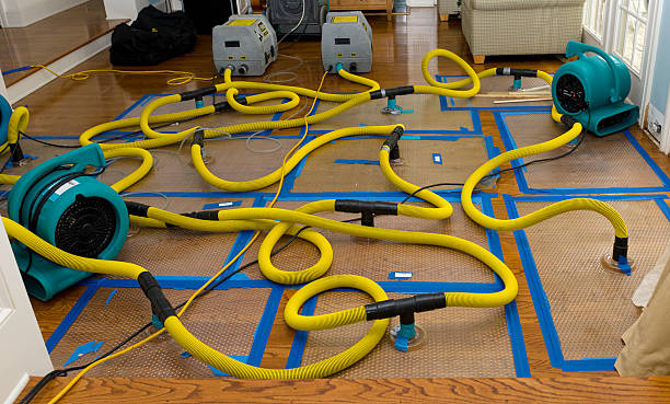 Professional Water Damage Repair technician working in Hurricane Mills, TN
